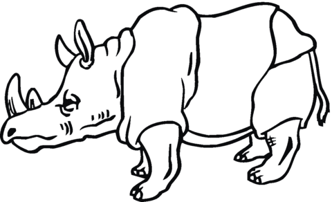 Rhino Coloring Page