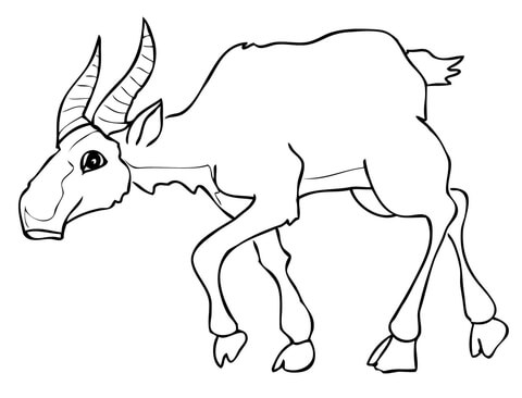 Saiga Coloring Page