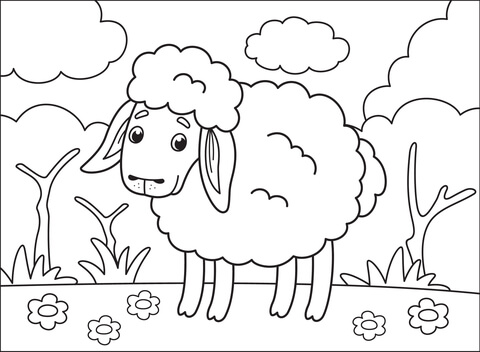 Sheep Coloring Page