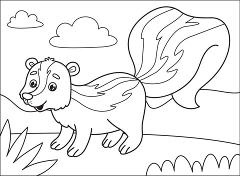 Skunk Coloring Page