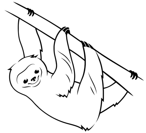 Sloth Coloring Page