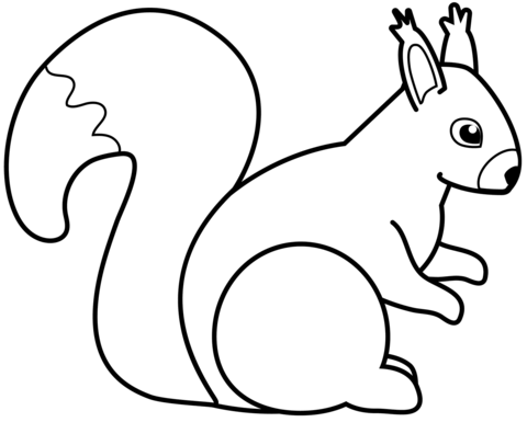 Squirrel Coloring Page