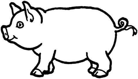 Swine Coloring Page