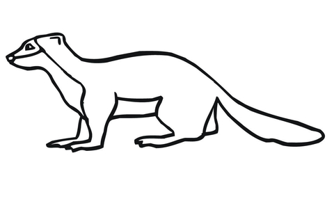 Weasel Coloring Page