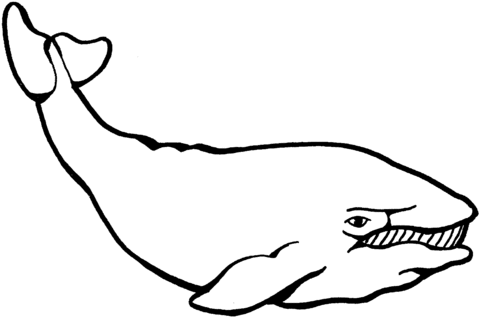 Whale Coloring Page