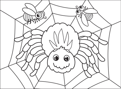 Spider Coloring Page