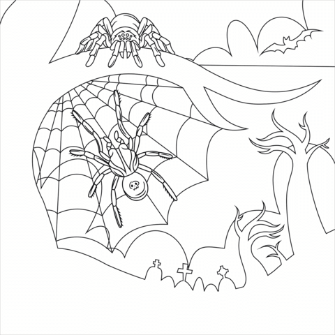 Spider Coloring Page