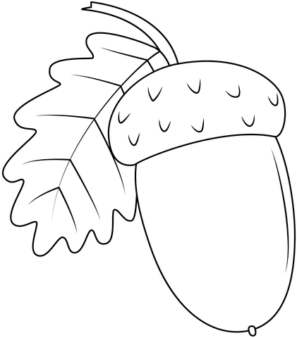 Acorn Coloring Page