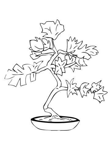 Bonsai Coloring Page