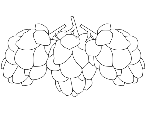 Cones Coloring Page