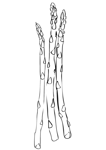 Asparagus Coloring Page