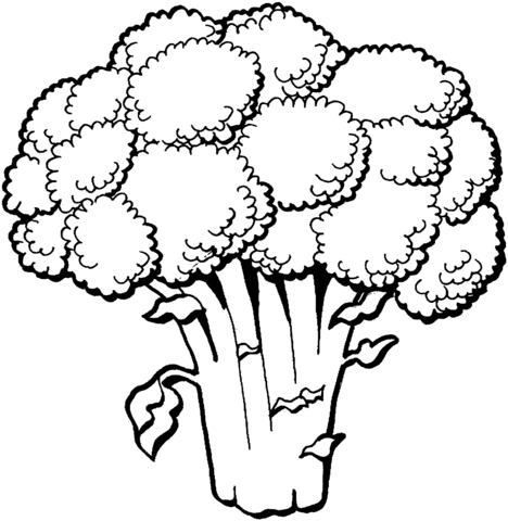 Broccoli Coloring Page