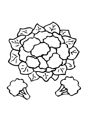 Cauliflower Coloring Page