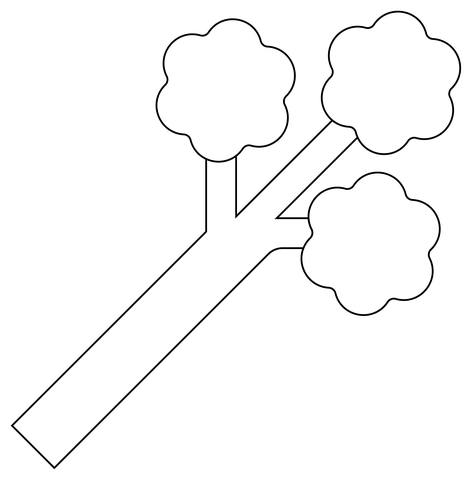 Celery Coloring Page