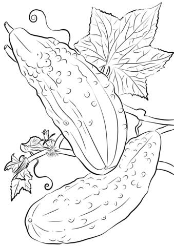 Cucumbers Coloring Page