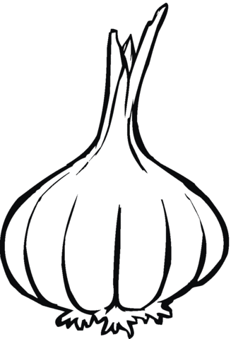 Garlic Coloring Page