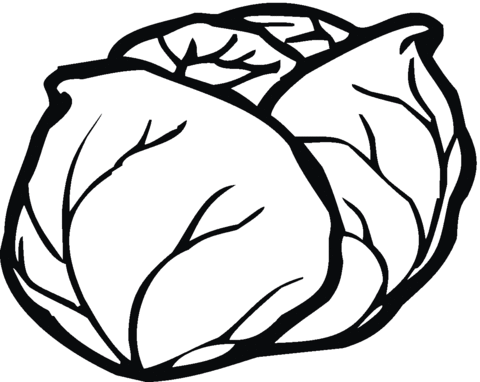 Lettuce Coloring Page