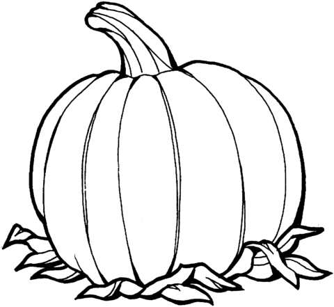 Pumpkin Coloring Page