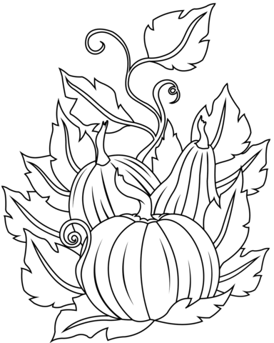 Pumpkins Coloring Page