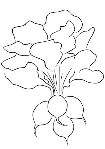 Radish Coloring Page