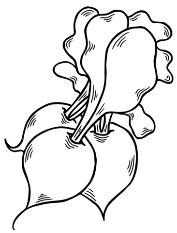 Radish Coloring Page