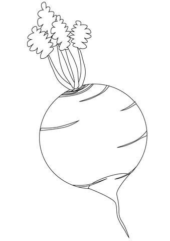 Turnip Coloring Page